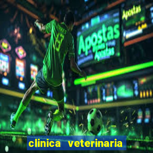 clinica veterinaria cuidar betim